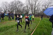DSC00597 DSC00597